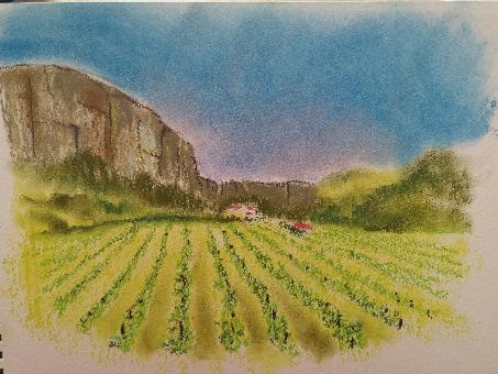 Vineyard in front of Meteora