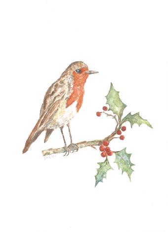 Christmas robin 