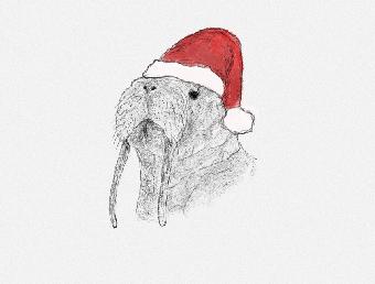 Christmas Walrus