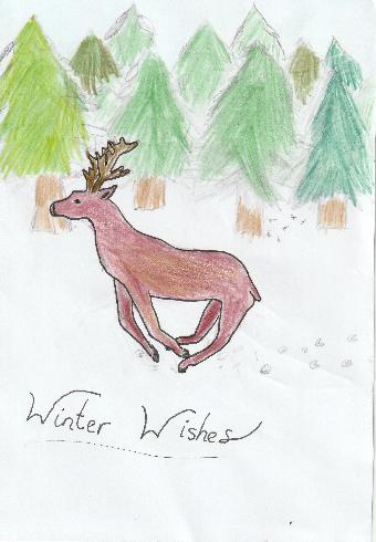 Reindeer in the Snow