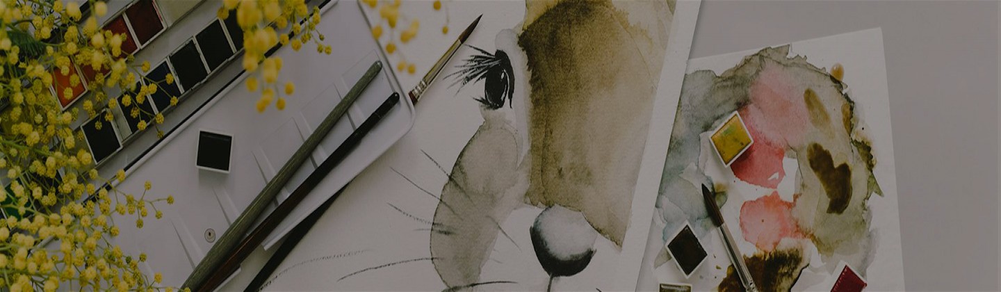 Winsor & Newton Watercolour Sets