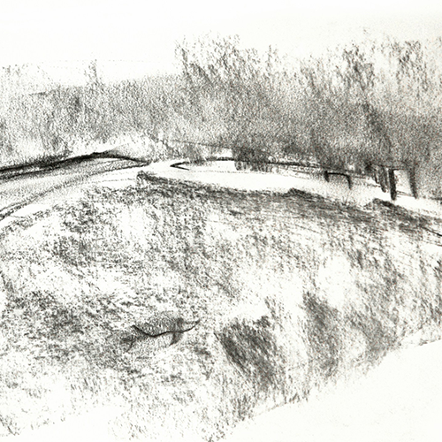 A rough but powerful charcoal sketch of parkland